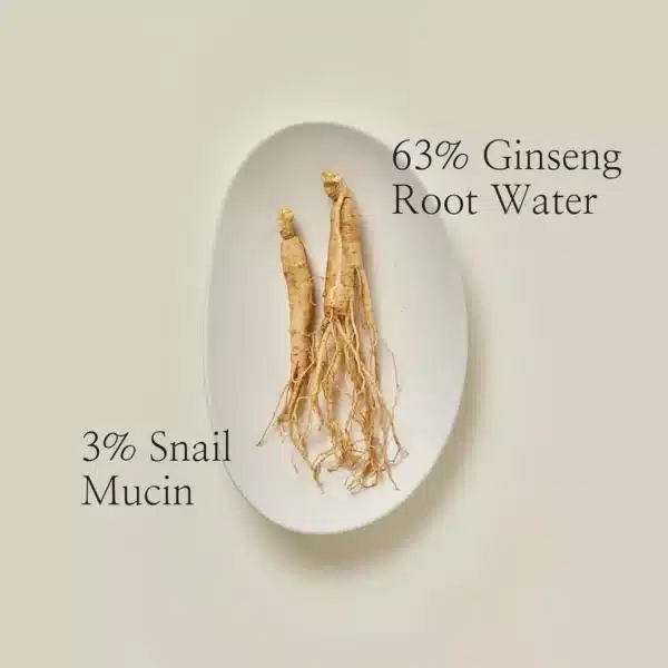 Beauty of joseon revive serum ginseng + snail mucin 30ml – Image 2