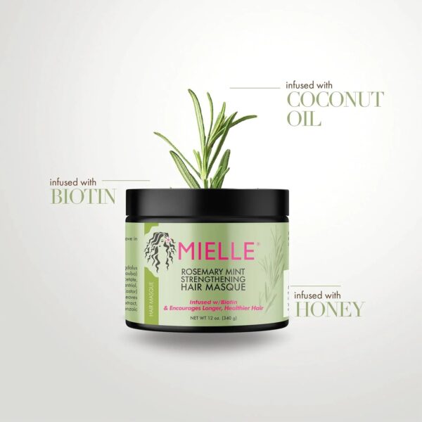 71eNoMX4-sL._SL1500.jpeg Mielle Rosemary Mint Masque 340 G – Image 3