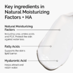 the ordinary natural moisturizing factors + ha - 100ml