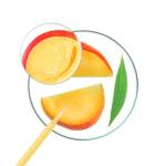 klorane mangue